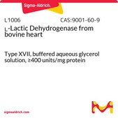 L-Lactic Dehydrogenase from bovine heart Type XVII, buffered aqueous glycerol solution, ≥400 units/mg protein