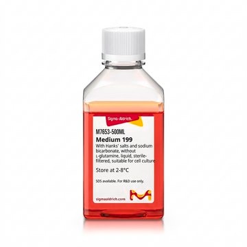 培养基&nbsp;199 With Hanks′ salts and sodium bicarbonate, without L-glutamine, liquid, sterile-filtered, suitable for cell culture