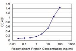 Monoclonal Anti-ID1 antibody produced in mouse clone 3F8, purified immunoglobulin, buffered aqueous solution