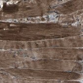 Anti-LSMEM1 antibody produced in rabbit Prestige Antibodies® Powered by Atlas Antibodies, affinity isolated antibody, buffered aqueous glycerol solution