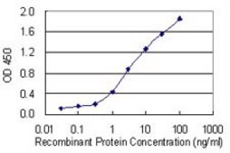 Monoclonal Anti-H2AFV antibody produced in mouse clone 2F9, purified immunoglobulin, buffered aqueous solution