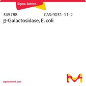 β-Galactosidase, E. coli