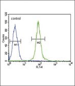 [KO Validated]Anti-YWHAG antibody produced in rabbit [Knockout Validated],affinity isolated antibody, buffered aqueous solution