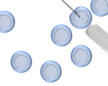 NDiff Neuro-2培养基补充剂 (200x) NDiff Neuro-2 Medium Supplement is a serum-free, N2-like supplement for the in vitro differentiation of murine embryonic stem (ES) cells into post-mitotic neurons particularly via monolayer differentiation.