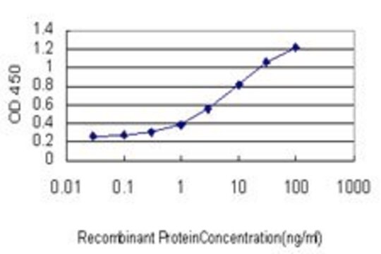 Monoclonal Anti-CILP antibody produced in mouse clone 2C5, purified immunoglobulin, buffered aqueous solution