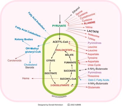 TCA Cycle Metabolite Library
