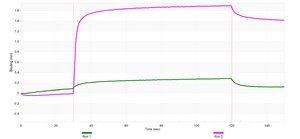 Anti-BNIP3 Antibody, clone 1G21 ZooMAb® Rabbit Monoclonal recombinant, expressed in HEK 293 cells
