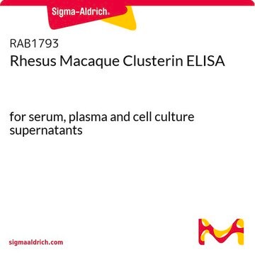 恒河猴丛生蛋白ELISA for serum, plasma and cell culture supernatants