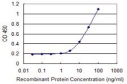 Monoclonal Anti-HOXB9 antibody produced in mouse clone 3C8, purified immunoglobulin, buffered aqueous solution