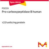 Pro-carboxypeptidase B human ≥2.0 units/mg protein