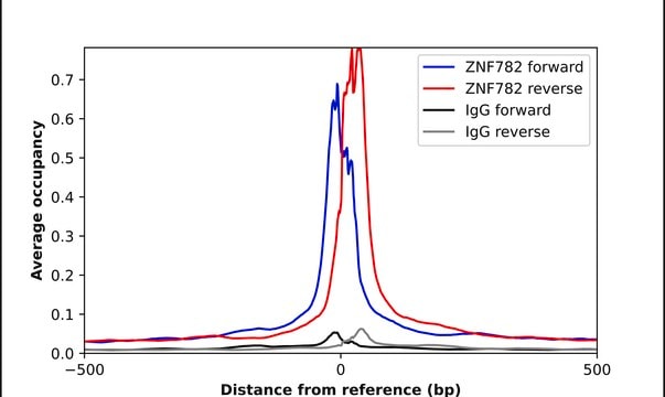 Anti-ZNF782 antibody produced in rabbit Prestige Antibodies&#174; Powered by Atlas Antibodies, affinity isolated antibody, buffered aqueous glycerol solution