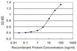 Monoclonal Anti-AMID antibody produced in mouse clone 3A11, purified immunoglobulin, buffered aqueous solution