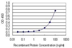Monoclonal Anti-CDAN1 antibody produced in mouse clone 7A10, purified immunoglobulin