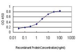 Monoclonal Anti-PCDHGA1 antibody produced in mouse clone 4C9, purified immunoglobulin, buffered aqueous solution