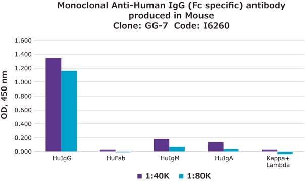 Monoclonal Anti-Human IgG (Fc specific) antibody produced in mouse clone GG-7, ascites fluid