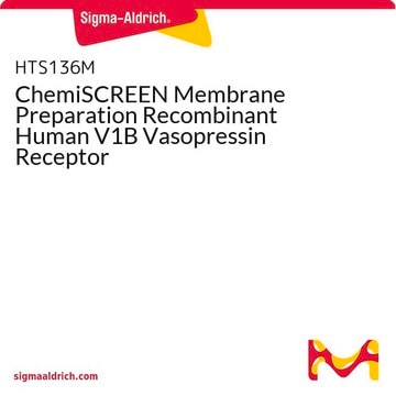 ChemiSCREEN Membrane Preparation Recombinant Human V1B Vasopressin Receptor