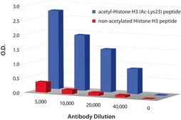 Anti-acetyl-Histone H3 [Ac-Lys23] antibody produced in rabbit IgG fraction of antiserum, antigen mol wt ~15 kDa