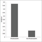 Anti-phospho-NFAT5/TonEBP (pSer155) antibody produced in rabbit affinity isolated antibody