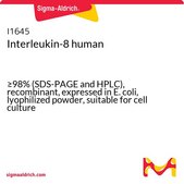 Interleukin-8 human recombinant, expressed in E. coli, lyophilized powder, suitable for cell culture