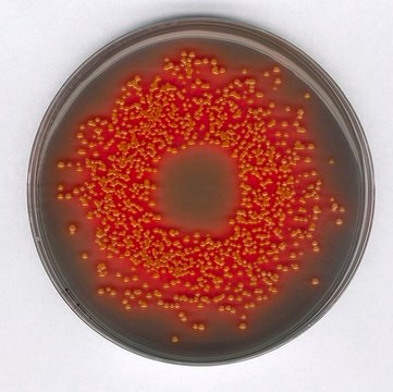 Hektoen Enteric Agar GranuCult&#174; prime, according to ISO 21567, ISO 6579, FDA-BAM, APHA, granular, selective and differential for Shigella spp., selective and differential for Salmonella spp., pkg of 500&#160;g