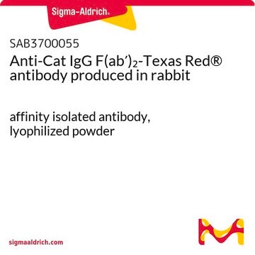 Anti-Cat IgG F(ab&#8242;)2-Texas Red&#174; antibody produced in rabbit affinity isolated antibody, lyophilized powder