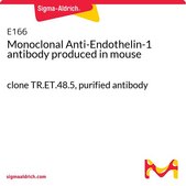 Monoclonal Anti-Endothelin-1 antibody produced in mouse clone TR.ET.48.5, purified antibody