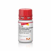 嗜热菌蛋白酶 from Geobacillus stearothermophilus powder, BioReagent, 30-350 units/mg protein (E1%/280), suitable for cell culture