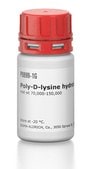 聚-D-赖氨酸 氢溴酸盐 mol wt 70,000-150,000