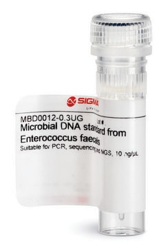 Microbial DNA standard from Enterococcus faecalis Suitable for PCR, sequencing and NGS, 10&#160;ng/&#956;L