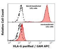 Monoclonal Anti-HLA-G antibody produced in mouse clone G233, purified immunoglobulin, buffered aqueous solution