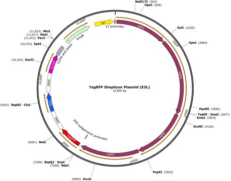 TagRFP Simplicon&#174; Plasmid (E3L)