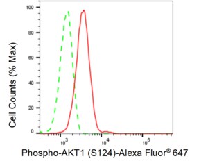 KD-Validated Anti-phospho-AKT1 (Ser124) Antibody, clone 23GB1180, Rabbit Monoclonal clone 23GB1180, recombinant rabbit monoclonal, expressed in HEK293 cells