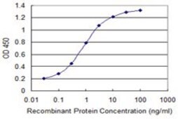 Monoclonal Anti-CDADC1, (C-terminal) antibody produced in mouse clone 2E8, purified immunoglobulin, buffered aqueous solution