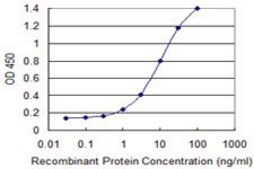 Monoclonal Anti-ZNF23 antibody produced in mouse clone 2D3, purified immunoglobulin, buffered aqueous solution