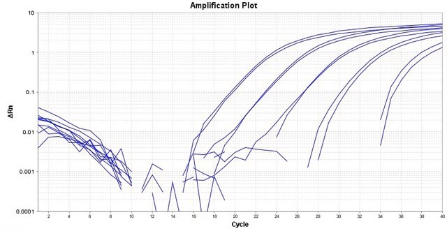 AAT Bioquest TAQuest™ qPCR Master Mix for TaqMan Probes 1 mL Low ROX