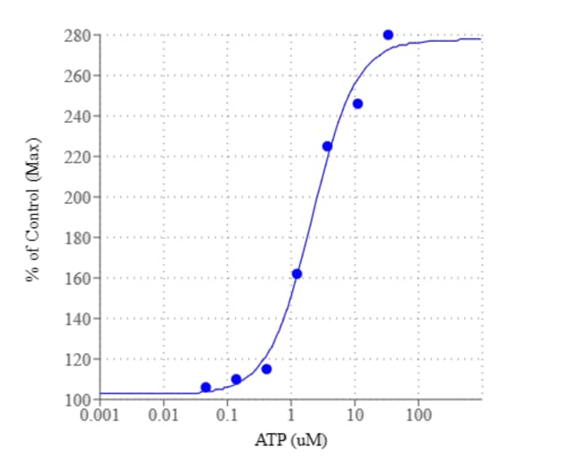 AAT Bioquest Screen Quest™ Membrane Potential Assay Kit 1 plate Red Fluorescence
