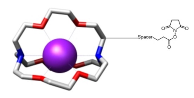 AAT Bioquest trFluor™ Eu-Cryptate succinimidyl ester 100 ug