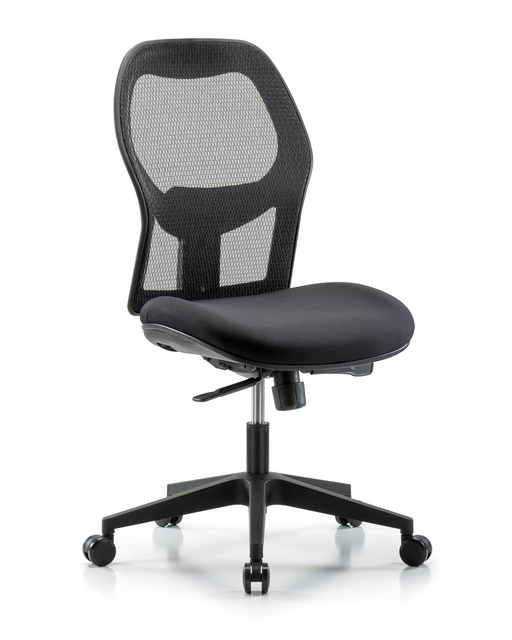 Blue Ridge Ergonomics®Windrowe Mesh Back Chair Desk Height