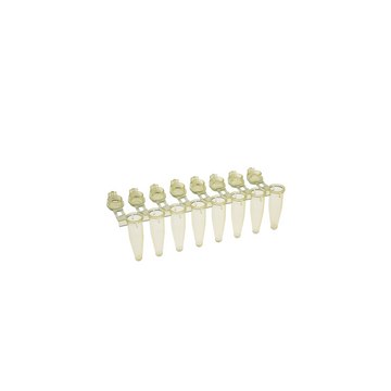 Simport Scientific Amplitube with Individually Attached Caps 8 TUBE STRIPS FLAT CAPS YELLOW