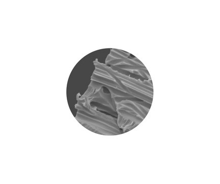 GVS PCTE Membrane Membrane Disc 25mm, PCTE 0.1µm, 100pk