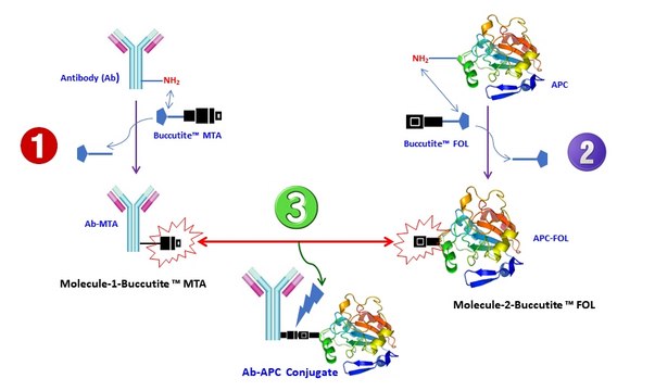 AAT Bioquest Buccutite™ FOL scavenger 2 umoles