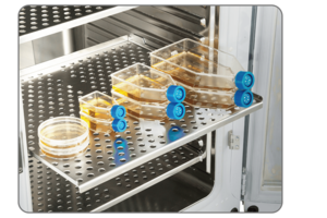 Haier Biomedical Stackable CO2 Incubator Capacity(L) 258,Shelves(Standard/Maximum) 3/13, Exterior Dimensions(W*D*H) (mm) 794*867*985, Net/Gross Weight (approx) (kg|lbs) 110/155 | 242.5/341.7