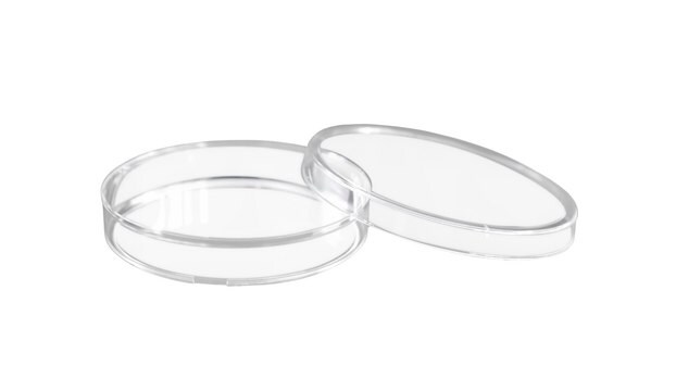Eisco Labs Disposable Petri Dish with Lid - Sterile and Transparent Disposable Petri Dish with Lid - Sterile - 35x15mm - Polystyrene - Triple Vented - Transparent