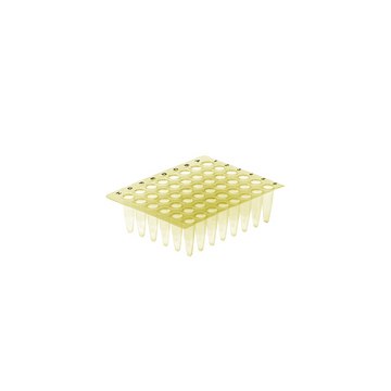 Simport Scientific Amplate Thin Wall PCR Plates (Non-Skirted) 48 WELLS YELLOW