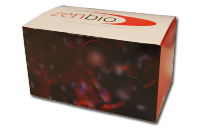 Zen-Bio® Lipolysis Assay Kit Dual glycerol and free fatty acids detection, Reagents Only for 5x 96 well plates, KIT