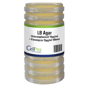 Alkali Scientific™ CellPro™ LB + Chloramphenicol 15ug/mL + Kanamycin 15ug/mL 100mm