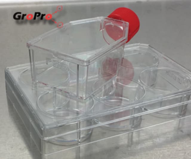 Zen-Bio® GroPro® Collagen I Coated Labware 384-well Plate, Pack of 5