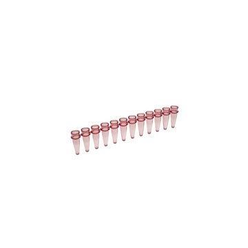 Simport Scientific Amplitube 12 TUBE STRIPS RED