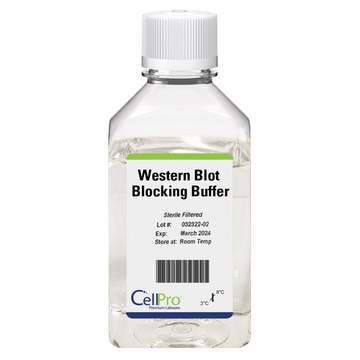 Alkali Scientific™ CellPro™ Western Blot Blocking Buffer 1L