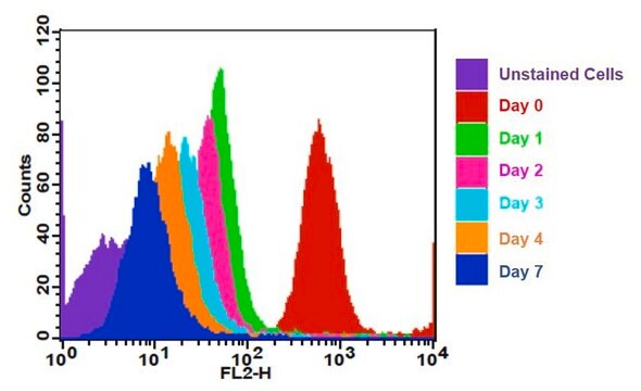 AAT Bioquest CytoTell™ Orange 500 Tests